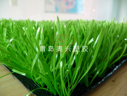 微信图片_20260707165502_322_16.png