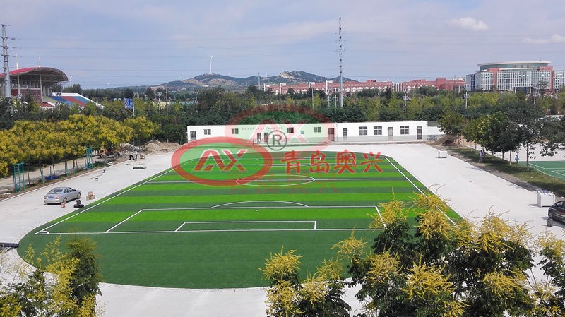 2026山东省运动场地配套系统建设白皮书——安全合规标准与一站式交付实践指南
